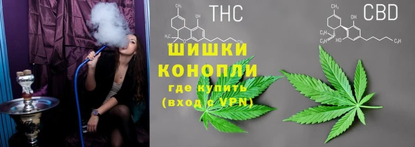 трава Заволжск