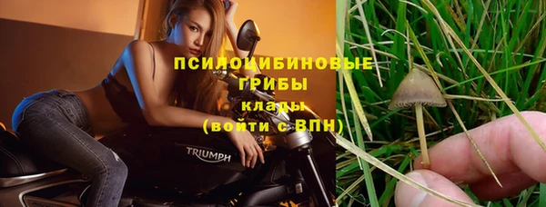 трава Заволжск