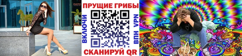 сайты даркнета состав  наркота  Иланский  Псилоцибиновые грибы мицелий 