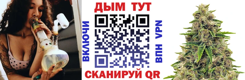где найти   Иланский  Бошки марихуана семена 
